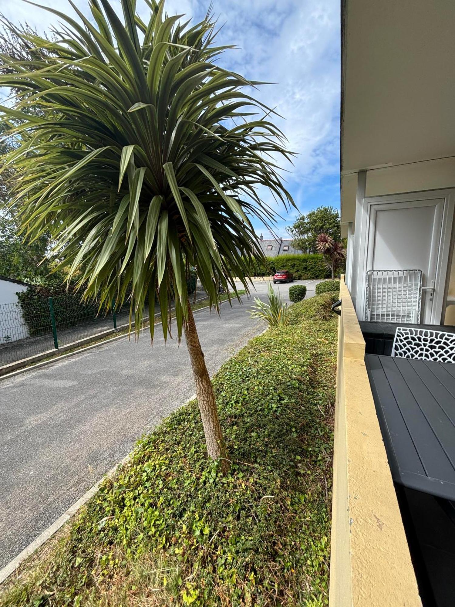 קיברון Appartement Studio 4 Personnes Dans Residence Avec Piscine מראה חיצוני תמונה